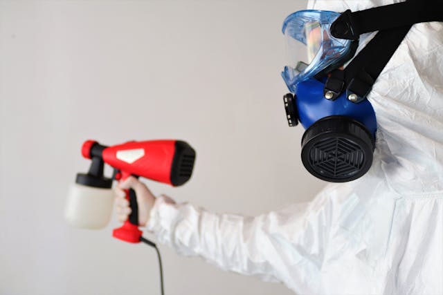 Early Mold Detection 5 Signs to Look for in Your Property